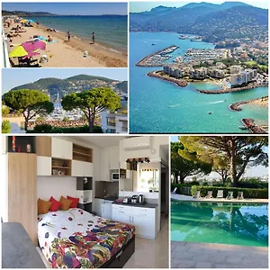book here
